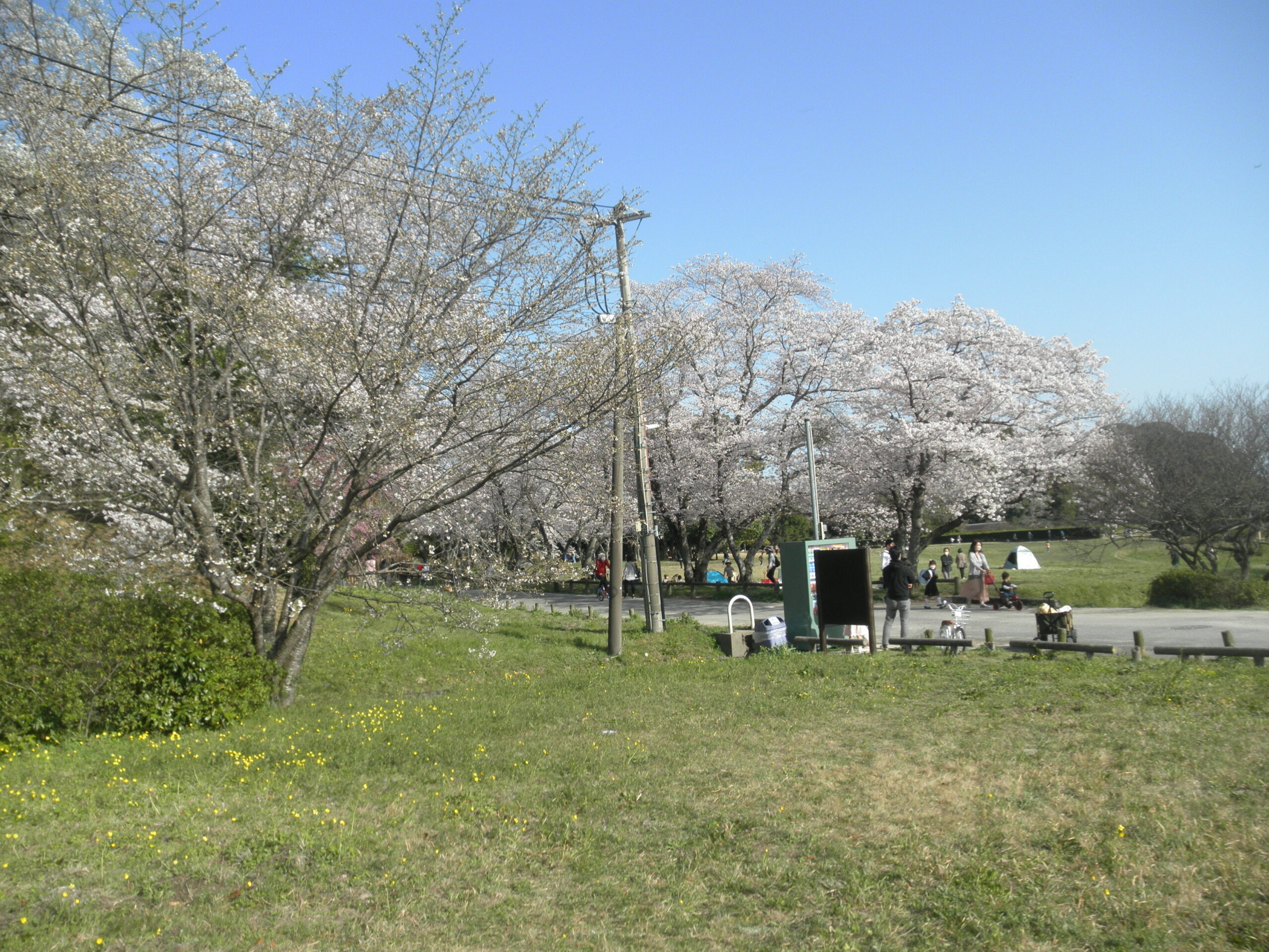 皆様が非常に楽しめるワクワク情報